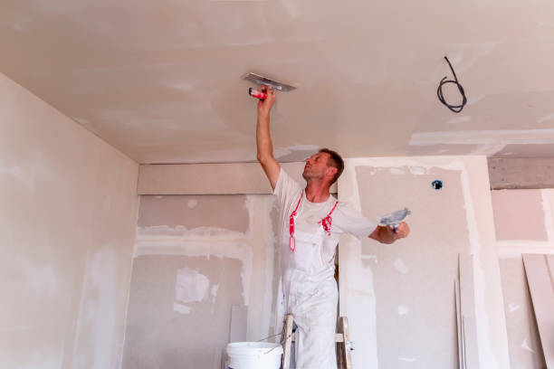  , WY Drywall and painting service Pros